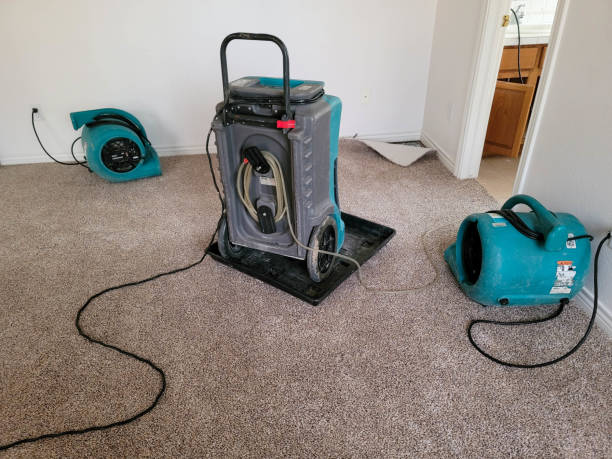 Best Flood restoration services  in Clayton, NJ