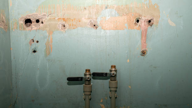 Best Sewage cleanup and water damage restoration  in Clayton, NJ