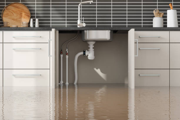 Professional Water damage restoration in Clayton, NJ